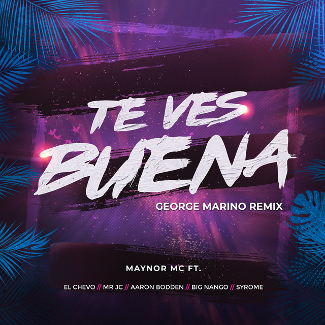 Te Ves Buena (Remix)