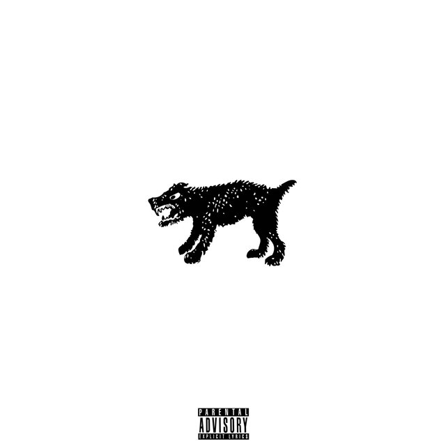 DAWG!