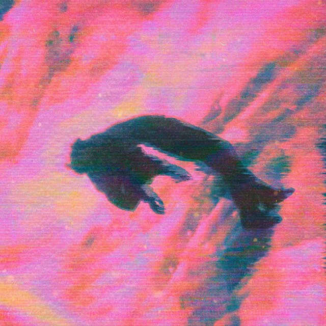 Insomnia