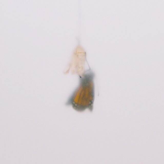 The Meeting Place (Live)