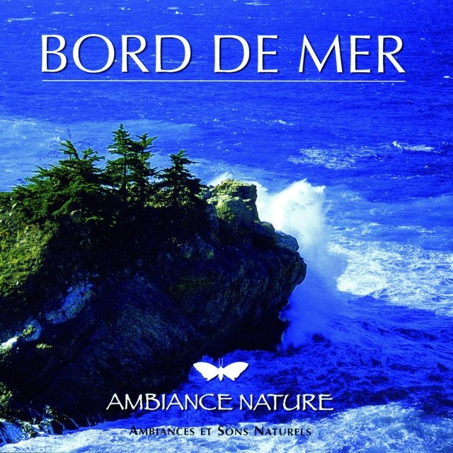 Ambiance Nature Bord de la mer