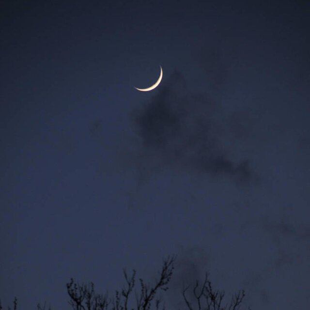 moon