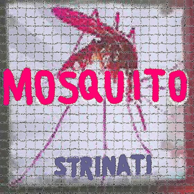 Mosquito