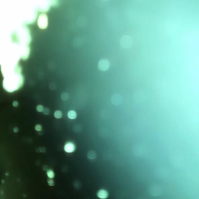 At Your Window