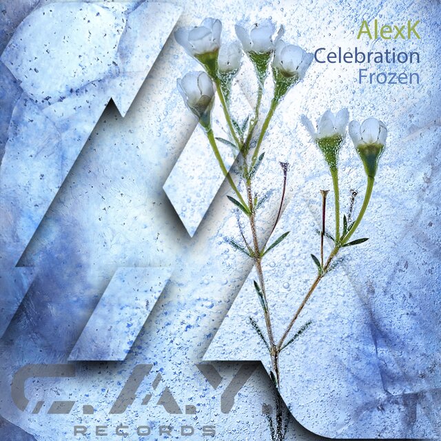 Celebration, Frozen