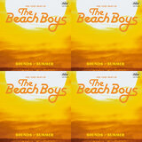 Cover art for album Paulie's Beach Boys by User