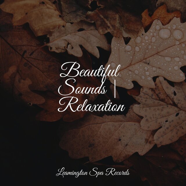 Beautiful Sounds | Relaxation