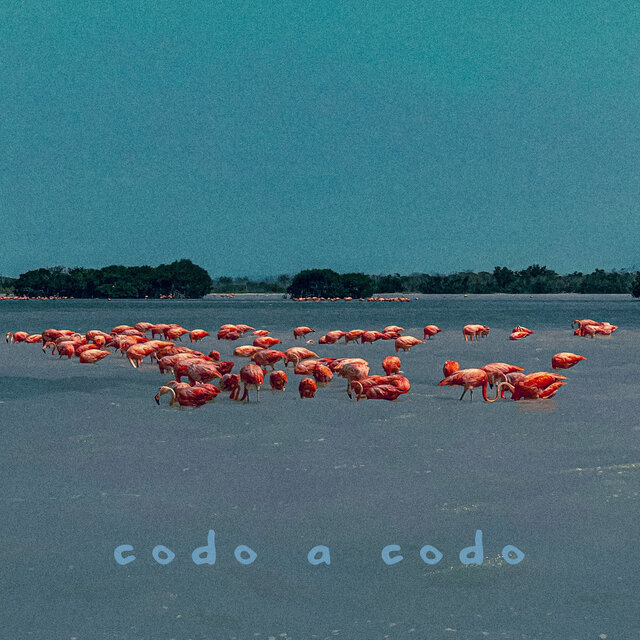 CODO A CODO