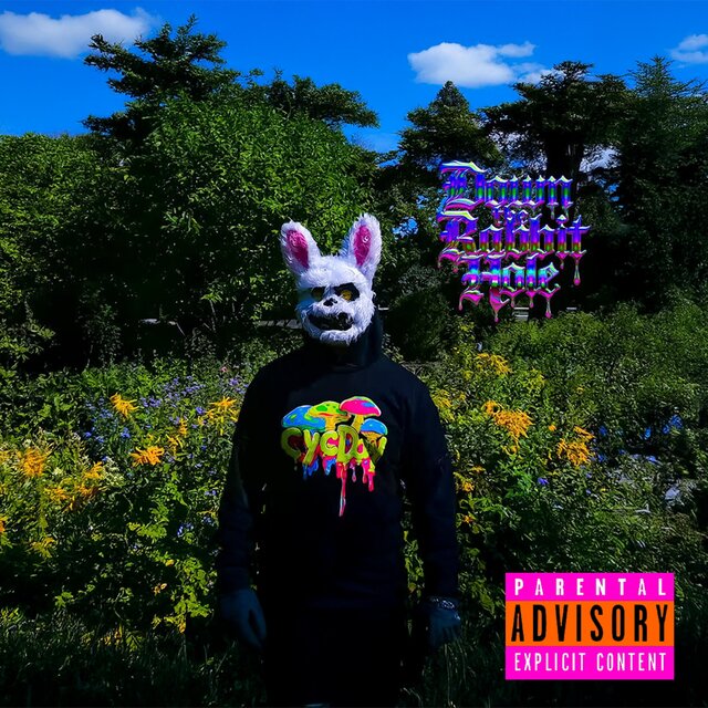 Down the Rabbit Hole