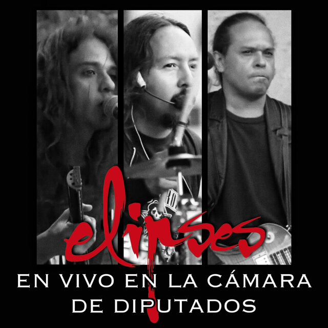 En la Camara de Diputados (En Vivo)