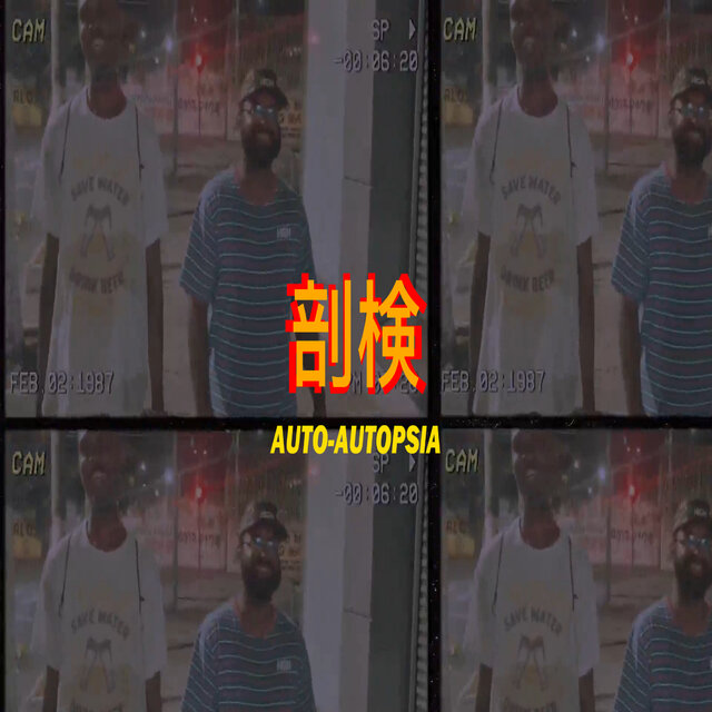 Auto-Autopsia