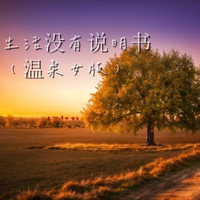 生活没有说明书 (温柔女版)