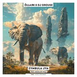 The New Mohana (Radio Edit)
