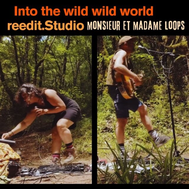Into the Wild Wild World (Reedit Studio)