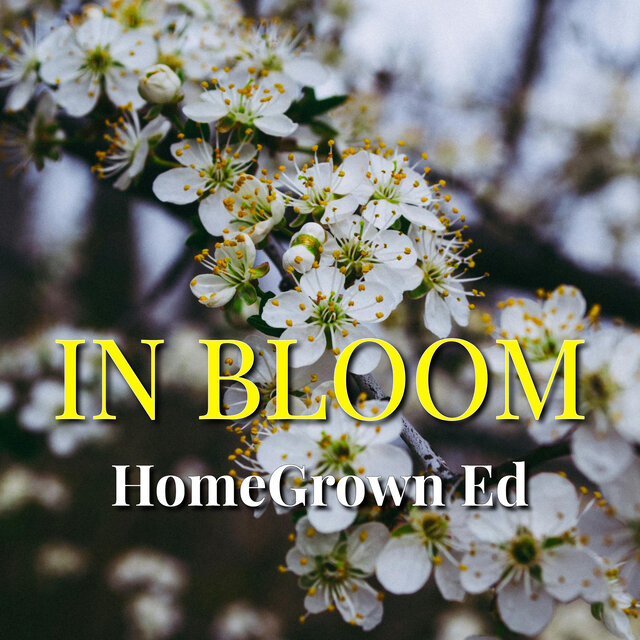 In Bloom