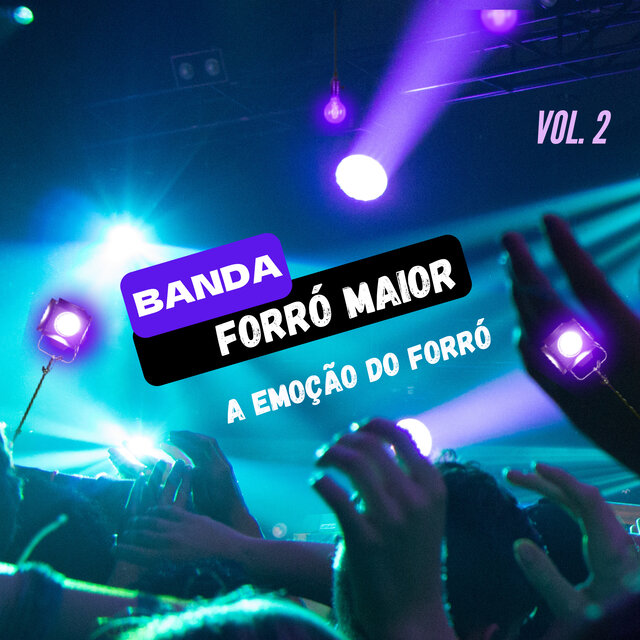 A Emoção Do Forró, Vol. 2