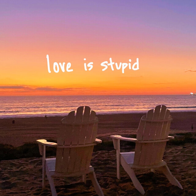 love is stupid