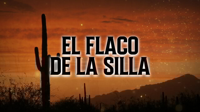 El Flaco De La Silla