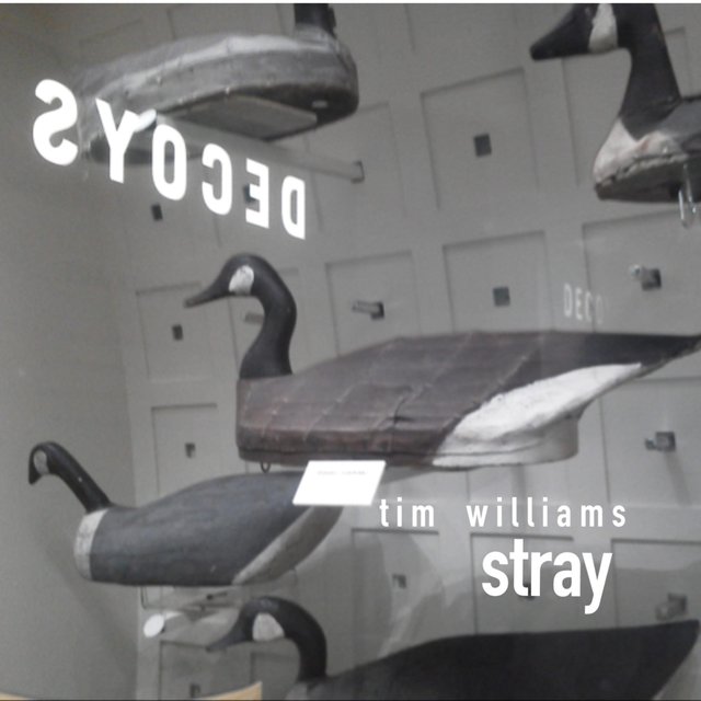 Stray