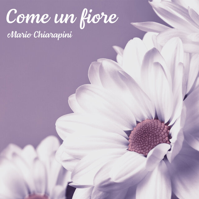 Come un fiore