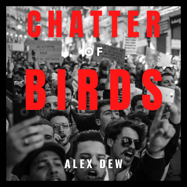 Chatter of Birds
