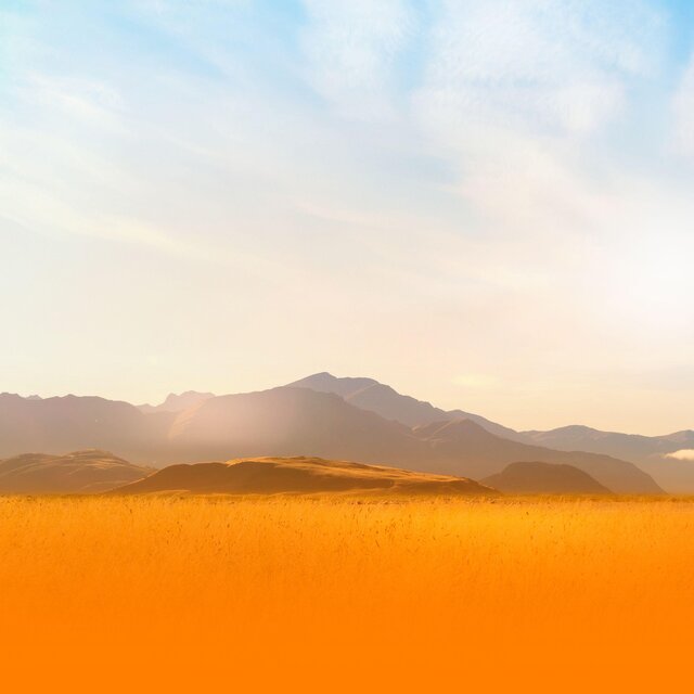 Soothing Wellness Music With Nature Sounds For Stress Relief And Emotional Wellness
