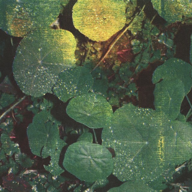 Cover art for album About Honey by Whoman
