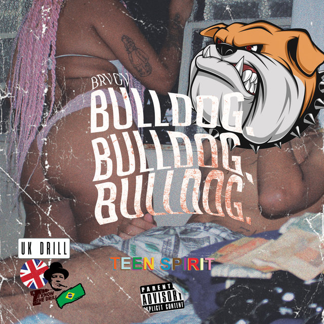 Bulldog