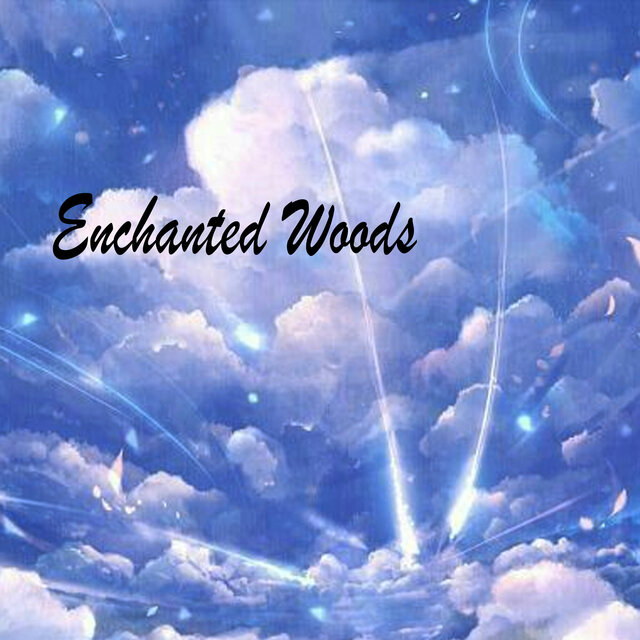 Enchanted Woods