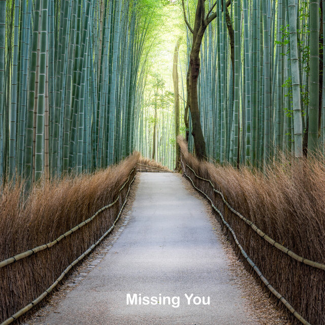Missing You