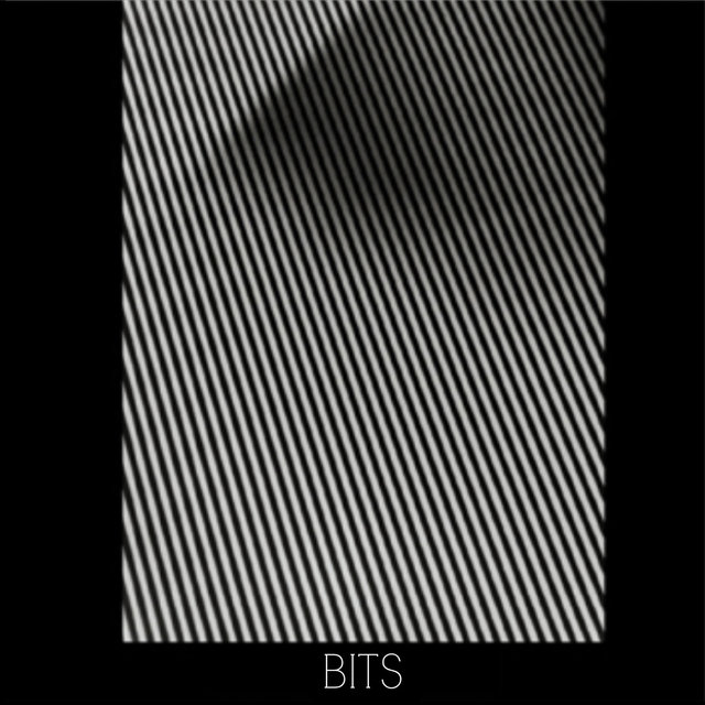Bits