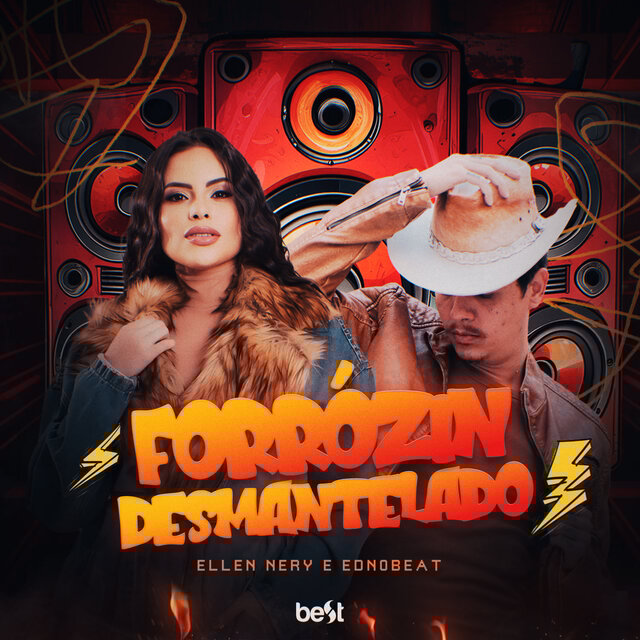 FORROZIN DESMANTELADO