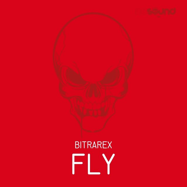 Fly
