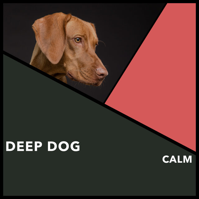 Deep Dog Calm