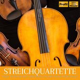 String Quartet No. 1 in G Minor, Op. 27: IV. Finale. Lento - Presto al saltarello