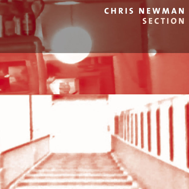 Chris Newman: Section