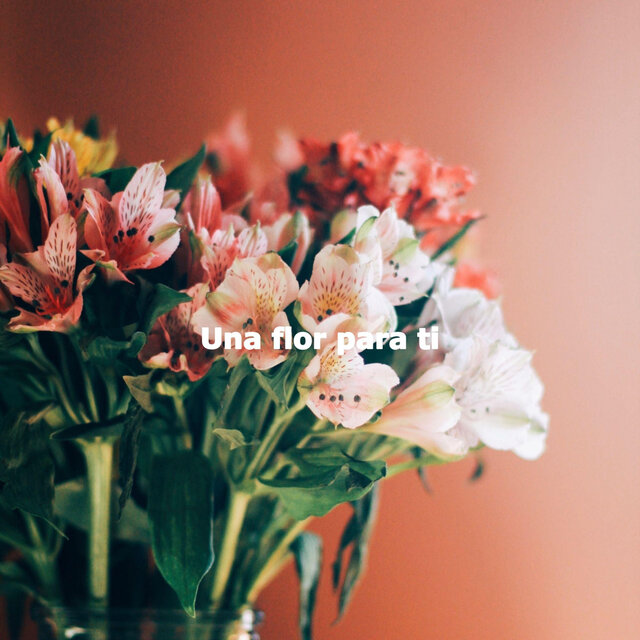 Una flor para ti
