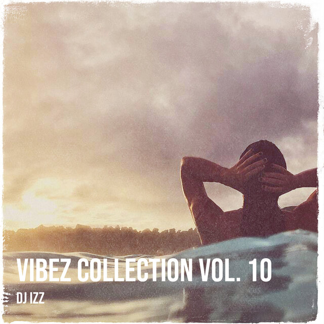Vibez Collection Vol. 10