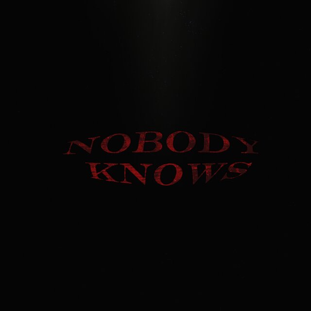 NOBODY KNOWS