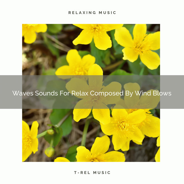 Waves Sounds For Relax Composed By Wind Blows
