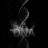 D. N. A