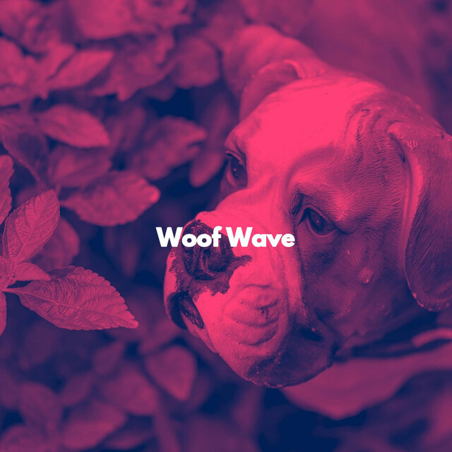 Woof Wave