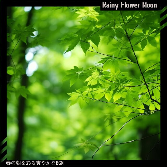 春の朝を彩る爽やかなbgm