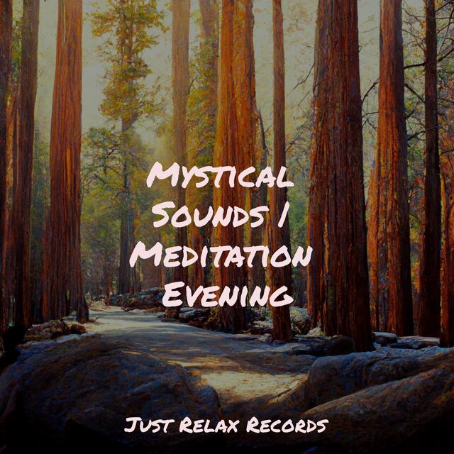 Mystical Sounds | Meditation Evening