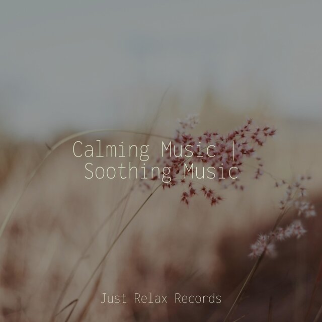 Calming Music | Soothing Music
