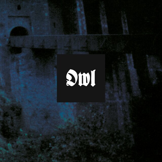 Owl (Deluxe)
