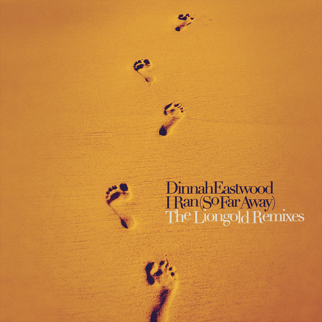 I Ran (So Far Away) (The Liongold Remixes)