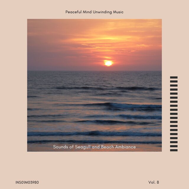 Sounds of Seagull and Beach Ambiance - Peaceful Mind Unwinding Music, Vol. 08