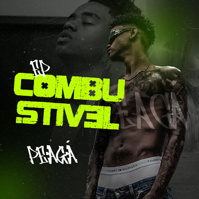 Combustivel