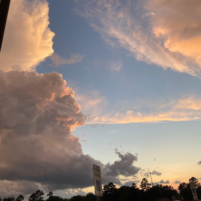 yuh